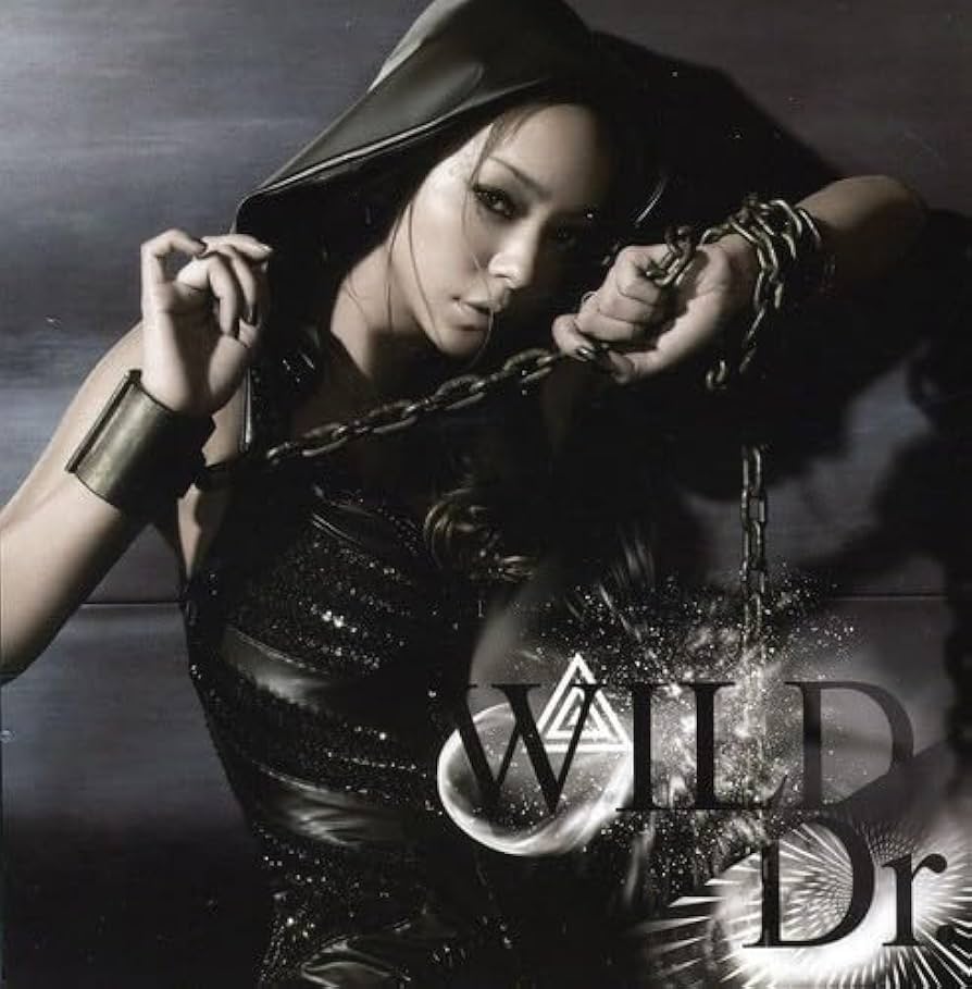 安室奈美恵DVD Amazon.co.jp: namie amuro PAST < FUTURE tour 2010 [DVD